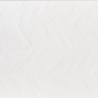 Experience Vector White (Pb)